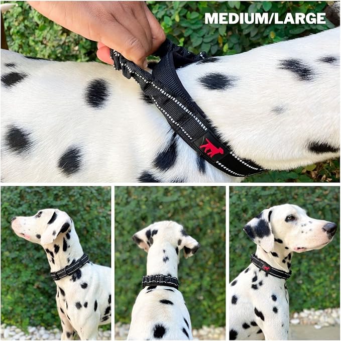 Tuff Pupper Heavy Duty Dog Collar with Handle | Ballistic Nylon Heavy Duty Collar | Padded Reflective Dog Collar with Adjustable Stainless Steel Hardware | Convenient Sizing for All Breeds