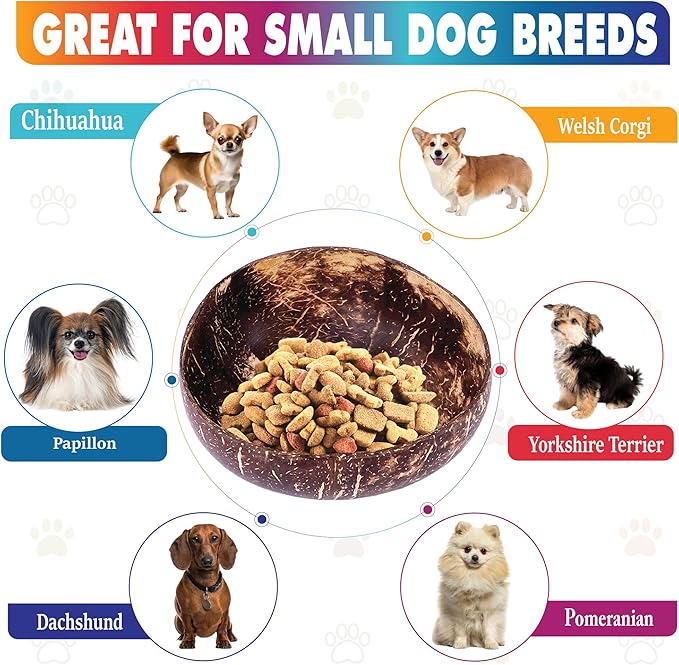 Raised Dog Bowl for Small Dogs - Elevated Natural Coconut Shell Bowl with Wood Stand - Around 20-oz Capacity - Suitable of Wet and Dry Dog Foods