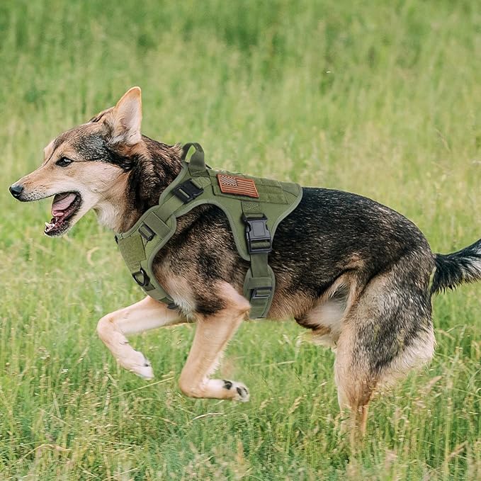 rabbitgoo Tactical Dog Harness for Large, Heavy Duty Pet Harness with Handle, No-Pull Service Vest Large Breed, Adjustable Military Dog Vest for Training Hunting Walking, Green, L