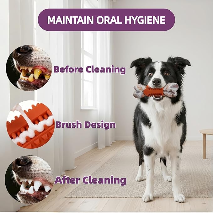 Tough Dog Toys for Aggressive Chewers,Teeth Cleaning and Training Dog Chew Bone for Medium Large Breed,Dog Bones for Heavy Chewers,Nylon and Rubber Chew Toy,Bone Shape
