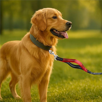Hands-Free Dog Leash for Dogs up to 130 lbs – Heavy-Duty, Shock-Absorbing Bungee Leash with Zipper Pouch, Dual Padded Handles & Adjustable Waist Belt for Running & Walking – Classic Red