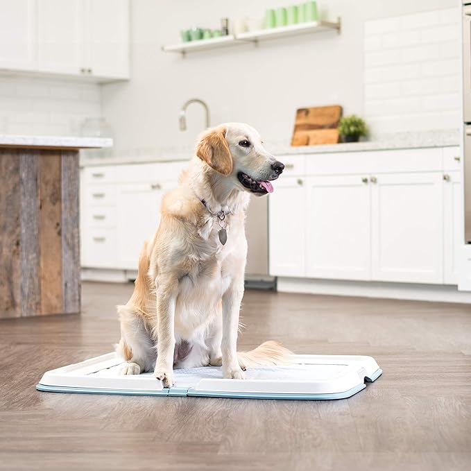 IRIS USA Pee Pad Holder - for Large Sized Dog and Puppy Pee Pads, Secured Latches, Non-Skid Feet, High Polish Finish for Easy Cleaning, Leak Protection, Fits 28"x34" Pad or Larger, Square, Blue