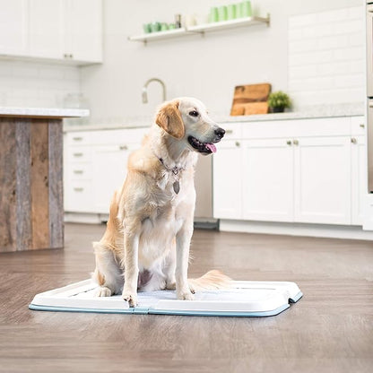 IRIS USA Pee Pad Holder - for Large Sized Dog and Puppy Pee Pads, Secured Latches, Non-Skid Feet, High Polish Finish for Easy Cleaning, Leak Protection, Fits 28"x34" Pad or Larger, Square, Blue