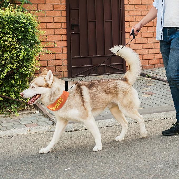 NAMSAN Retractable Dog Leash Collar for Medium to Large Dogs, Dog Collar with Retractable Leash Built-in, All-in-One, Adjustable, Orange