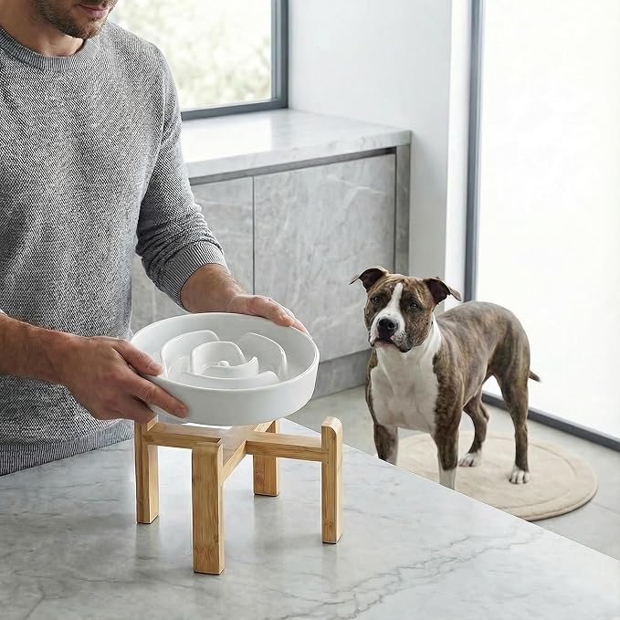 Elevated Slow Feeder Dog Bowl - Upgraded with Screwed Bamboo Stand - Ceramic Maze Dish for Fast Eaters - Raised Feeding Bowl for Medium and Large Dogs - White
