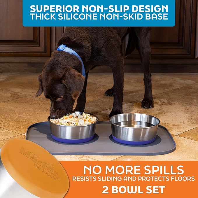 Master Pet Supply Stainless Steel Dog Bowls Set of 2 with Extra Thick Silicone Base - 8 Cup (64 oz) Mango Tango, Non-Slip, Dishwasher Safe Metal Bowls, Pet Dog Food Bowl for Dogs, Cats, Anti Rust