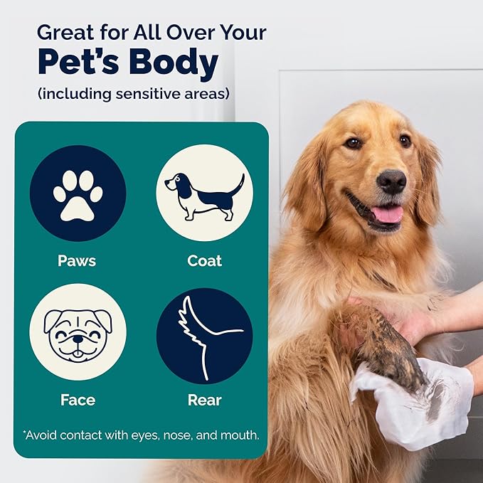 Vetnique DermaBliss Pet Wipes for Dogs & Cats for Grooming, Cleansing & Deodorizing, Thick Dog Wipes for Convenient Dog Cleaning and Natural Pet Odor Eliminator, 100ct (Unscented)