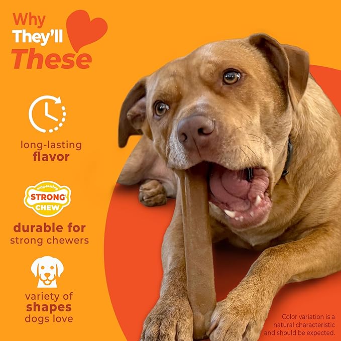 Nylabone Strong Chew Dog Toy 4-Pack Made with Real Bacon, Bison, Venison, Beef, & Chicken, Durable Chew Toys for Aggressive Chewers, Long Lasting Dog Bone, Large Breeds - Up to 50 lbs, 4 Count