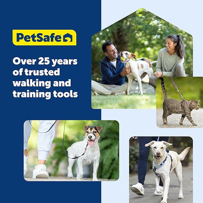 PetSafe Easy Walk Deluxe Dog Harness, No Pull Dog Harness – Perfect for Leash & Harness Training – Stops Pets from Pulling and Choking on Walks – Medium, Steel
