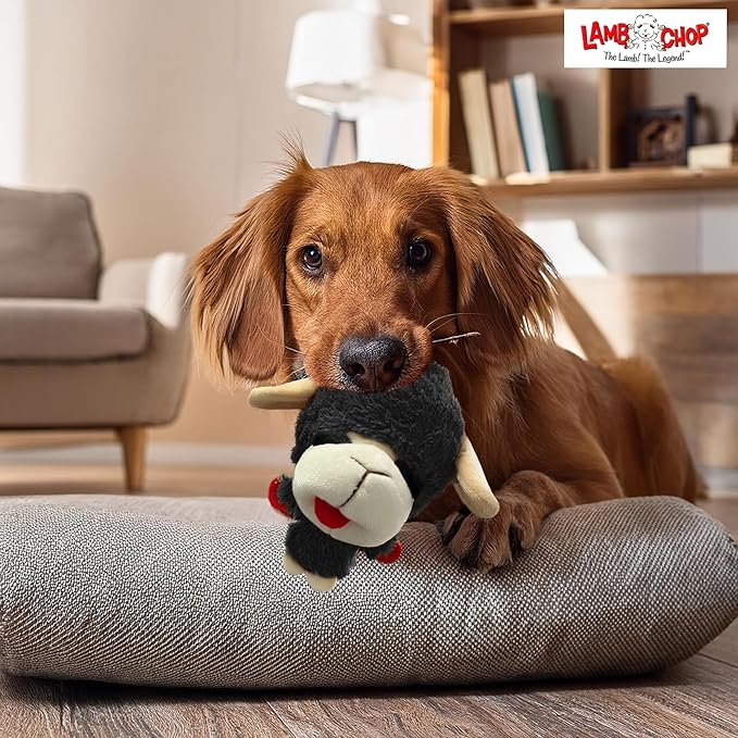 Multipet Knobby Noggins Dog Toy Lamb Chop | Lambchop Knobby Noggins Knobby | Noggins Squeaky Dog Toy Plush | 5" | Small/Medium Breed | Officially Licensed (Black)