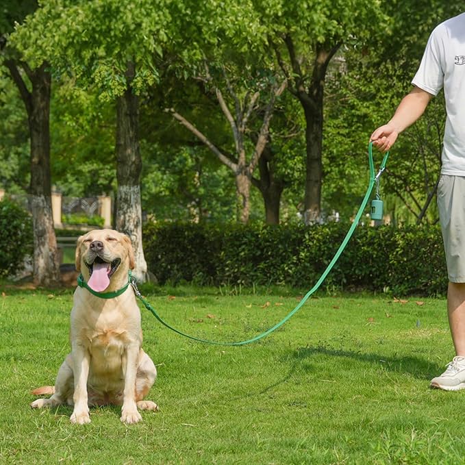 Waterproof Dog Leash with Poop Bag Holder, 5FT/6FT Adjustable Length with 2 Swivel Hooks, Odor-Free & Easy-Clean Dog Lead for Large Medium Small Dogs