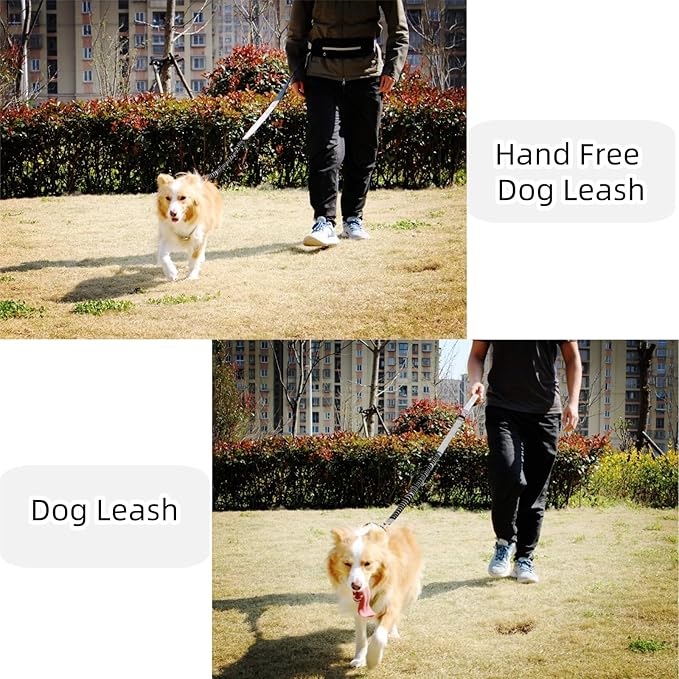 FJ Four Joys Hands Free Dog Leash with Zipper Pouch, Waist Leash for Dog Walking with Shock Absorbing Bungee for Walking, Jogging and Running (Black)