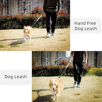 FJ Four Joys Hands Free Dog Leash with Zipper Pouch, Waist Leash for Dog Walking with Shock Absorbing Bungee for Walking, Jogging and Running (Black)
