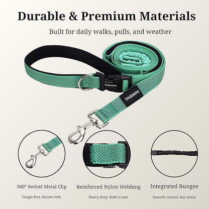 8FT-10FT Hands Free Dog Leash - Adjustable Waist/Crossbody 2-in-1 Belt with Shock-Absorbing, Traffic Handle & Reflective for Hiking, Canicross & Active Lifestyles (Mint Green)
