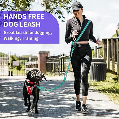 Kazazoo Hands-Free Dog Leash with 5.5-8.5FT Adjustable Length - Heavy Duty No Pull Bungee Design, Reflective Safety for Walking, Jogging & Training | Suitable for Medium to Large Dogs,M size-Green-New
