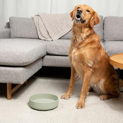 Should We Go? Dog Water Bowl - The Perfect Dish No-Spill, Less Mess Non-Tippable Water & Food Bowl, Pure Silicone with Suction Cup Fits 5 Cups 7.5" Across x 2.25" Tall, Ideal for All Pets, Medium-Sage