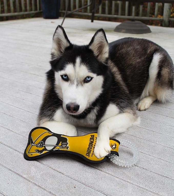 Pets First NHL Pittsburgh Penguins Dental Dog TUG Toy with Squeaker. Tough PET Toy for Healthy Fun, Teething & Cleaning Pet's Teeth & Gum., one Size (PEN-3310)