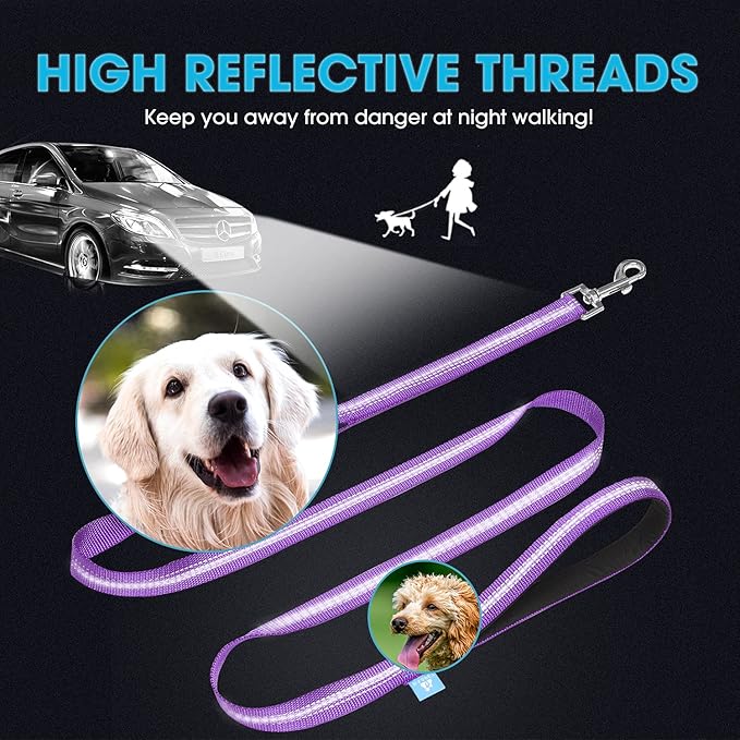 BAAPET 5 Feet Nylon Dog Leash with Triple Reflective Threads and Comfortable Padded Handle for Walking, Training Lead Small Puppy, Medium and Large Dogs (1.0'' x 5 FT, Purple)