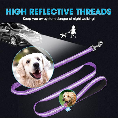 BAAPET 5 Feet Nylon Dog Leash with Triple Reflective Threads and Comfortable Padded Handle for Walking, Training Lead Small Puppy, Medium and Large Dogs (1.0'' x 5 FT, Purple)