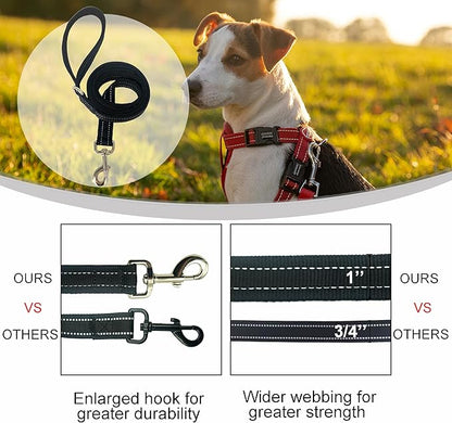 Dual Padded Handle Standard Dog Leashes with Reflective Stitching,360° Rotatable Heavy Duty Metal Buckle,D-Ring,Durable Nylon,for Medium Sized Dogs from 20 to 60 Pounds Walking and Training Black 5Ft