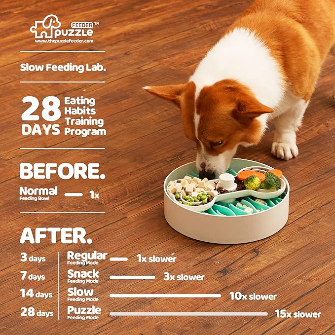 Puzzle Feeder Slow Feeder Dog Bowl - 9.8 Inches, Dry, Wet & Raw Food, Mealtime Fun Puzzle for All Breed Dogs, Green