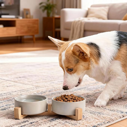 Kimdio Ceramic Dog Bowls with Wood Stand, 13.5OZ Pet Bowls Set of 2 for Medium Small Dogs and Cats - Non-Slip Base Cute Pet Food & Water Basic Bowls Glaze Matte-Grey