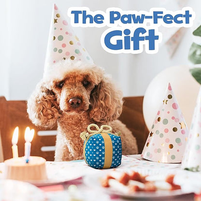 Gift Box Dog Birthday Toy – Cute Plush with Squeaker, Rope & Crinkle, Birthday Gift for Dogs