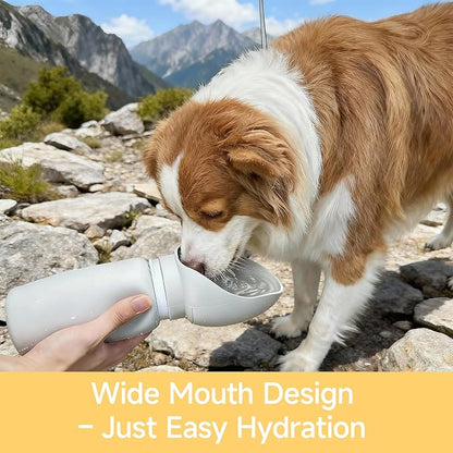 Dog Water Bottle, Leakproof Portable Water Bowl for Dog, Lightweight Water Bottle for Dogs, Food Grade Silicone, Collapsible Travel Pet Water Bottle for Outdoor Hiking Camping (Grey, 18.6 Ounces)