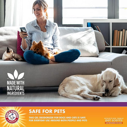 Arm & Hammer For Pets Scents Plug-in Scented Oil Refills in Lavender Fields, Arm and Hammer Room Deodorizer for Homes with Pets, 0.67 Fl Oz x 60 (Pack of 30, 60 Count Total)