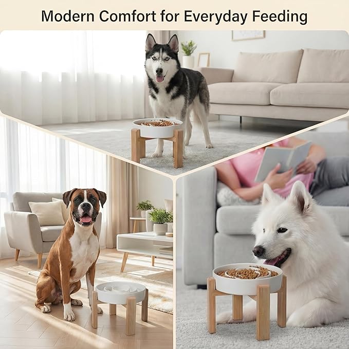 Elevated Slow Feeder Dog Bowl - Upgraded with Screwed Bamboo Stand - Ceramic Maze Dish for Fast Eaters - Raised Feeding Bowl for Medium and Large Dogs - White