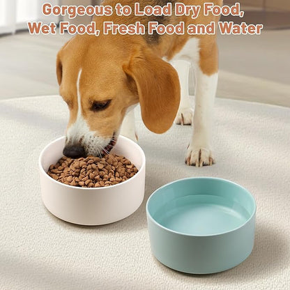 Non Slip Dog Bowls, Heavy Ceramic Dog Food and Water Bowl with Silicone Base, Pet Feeding Bowl for Puppies, Small and Medium Dogs (Glossy White, 6 Inches)