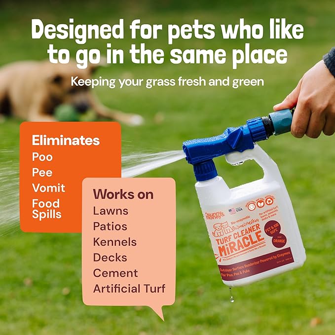 Sunny & Honey Outdoor Turf Cleaner - Pet Urine Enzyme Cleaner - Dog Urine Neutralizer for Grass - Long-Lasting Orange Scent & Yard Sprayer Ready (32 fl oz)
