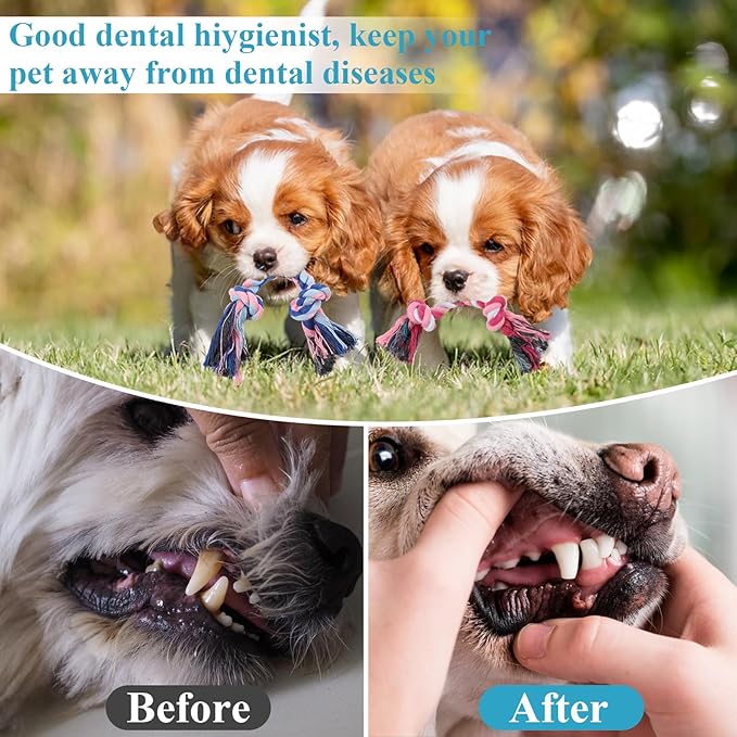48 Pcs Dog Rope Toys Bulk for Medium and Small Dogs, Multi Color Dental Cotton Puppy Teething Toys 2 Knot Indestructible Chew Tug of War Dog Toys for Aggressive Chewers Supplies