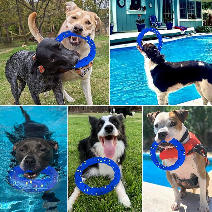 BABORUI Floating Dog Pool Toy – Durable E-TPU Dog Water Toy for Fetch & Chew, Bright Floating Dogs Toys for Pool, Beach & Outdoor Play – Dogs Beach Essentials (Blue Ring)