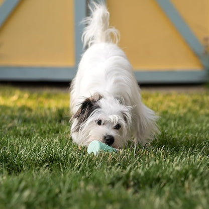 Chew King by Mammoth Dental Dog Toy Collection, Stick Clinically Proven to Remove Plaque