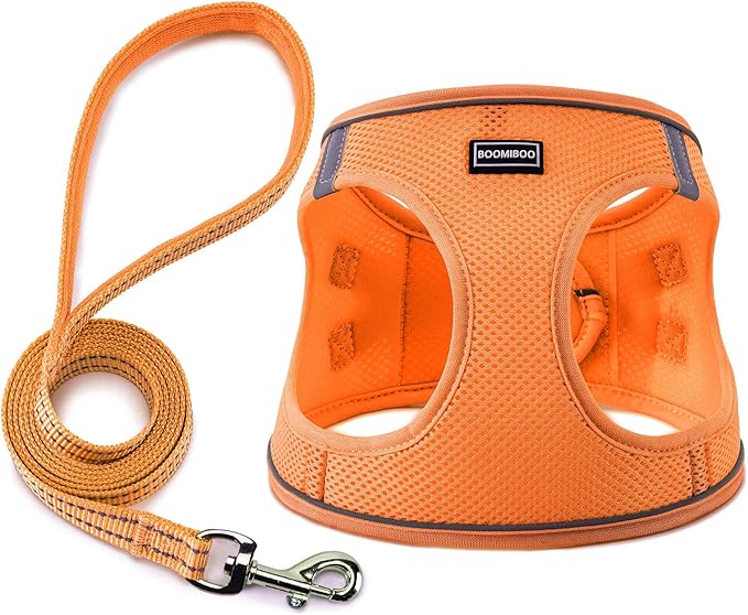 Dog Harness with Leash Set, No Pull Adjustable Reflective Step-in Puppy Pet Vest Harnesses for Small Medium Large Dogs and Cats,Orange M
