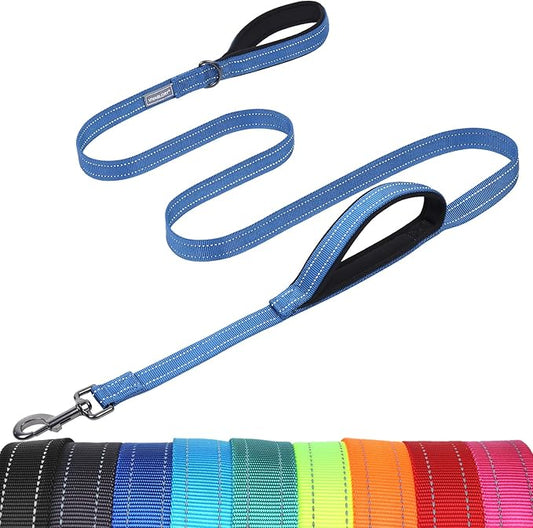 VIVAGLORY Dog Leash Twingrip Double Handle Dog Leash with Traffic Handle Control & 2 Loop for Walking & Training, Reflective Heavy Duty for Puppy Pet Collar, 5ft x 1in, Blue