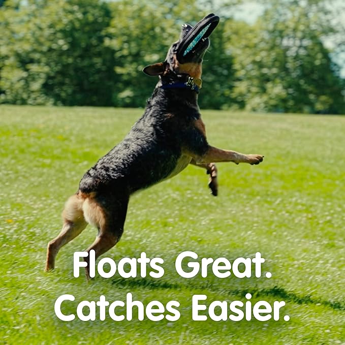 ZooBee Flying Disc Dog Toy – Dog Vision Friendly Colors – Soft & Durable Toss Disc for Indoor & Outdoor Play, Water Fetch & Pool Fun – Safe on Teeth – Floating Dog Toy – Lightweight & Easy to Throw
