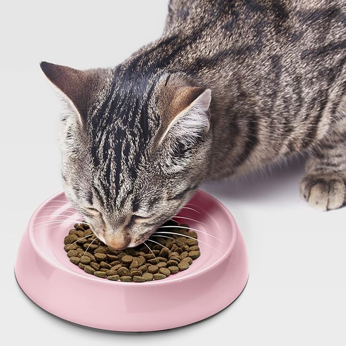 CatGuru Cat Bowls, Whisker Friendly Food Bowl for Indoor Cats, Reliefs Whisker Fatigue, Wide Kitten Dish, Non Slip Pet Dishes, Shallow Pet Plates (Pink, (Pack of 2))