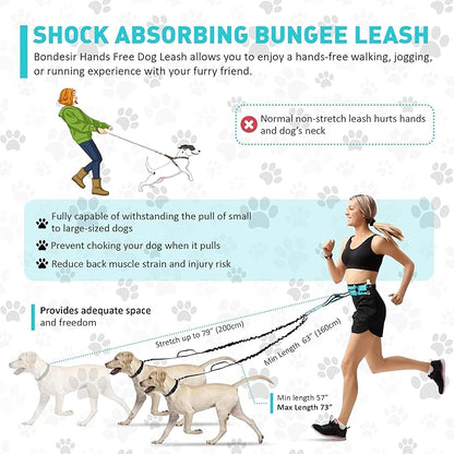 Waist Leash for Double Dog Walking 2 Medium and Large Dogs; Shock-Absorbing, No Pull, No Tangle, Heavy Duty, Hands-Free Double Bungee 2 Dog Leash; Hiking, Walking, Running Gear with Multiple Pockets