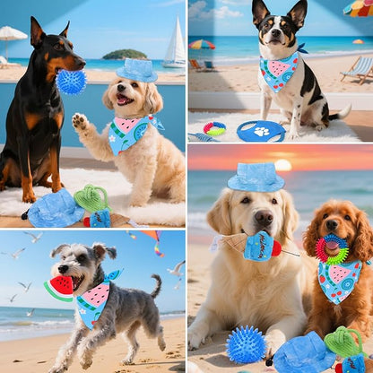 Mity rain Summer Dog Toys Set - Interactive Dog Toys Pack for Small/Medium/Large Dogs, Dog Toys Gifts of Squeaky Toys Rope Toy Plush Toy Dog Costume for Teething Bulk