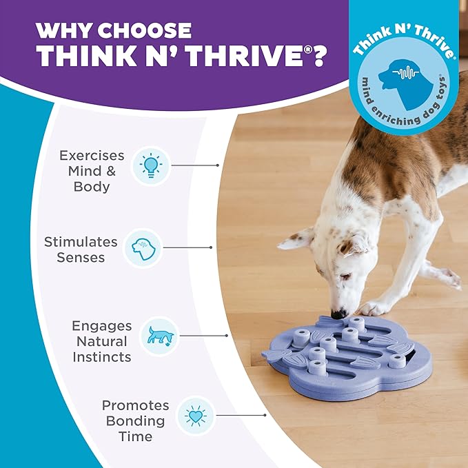 Outward Hound by Nina Ottosson Dog Hide N' Slide – Interactive Treat Puzzle Enrichment Toy, Level 2 Intermediate