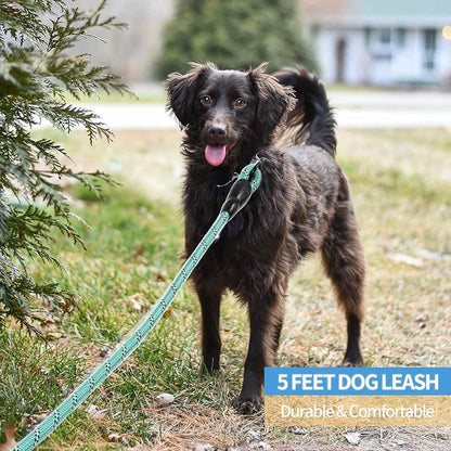BAAPET 2/4/5/6 FT Dog Leash with Comfortable Padded Handle and Highly Reflective Threads for Small Medium and Large Dogs (5FT-1/2'', Turquoise)