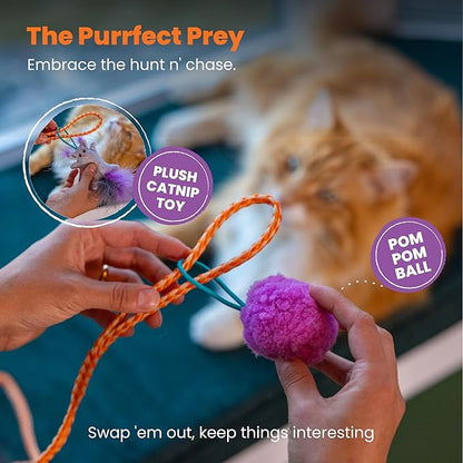 Catstages Cat-apult Spring Wand Durable and Interactive Teaser with Flinger Clip & Two Cat Toys, Catnip Toy & Pompom Ball, Blue