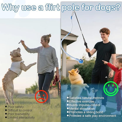Flirt Pole for Dogs Interactive Dog Pole Toy for Large Medium Small Dogs, Chase Dog Flirt Pole for Tug of War