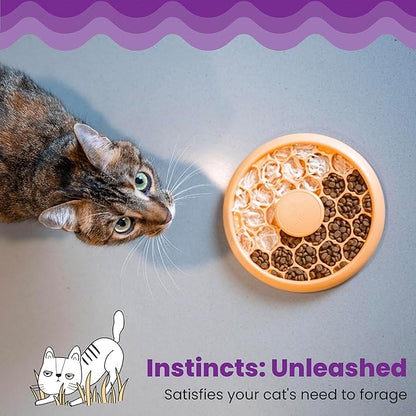 Catstages Cat Slow Feeder Bowl for Indoor Cats, Stimulating Treat Puzzle Toy, Dry or Wet Food, 1/2 Cup Capacity, One Size, Orange