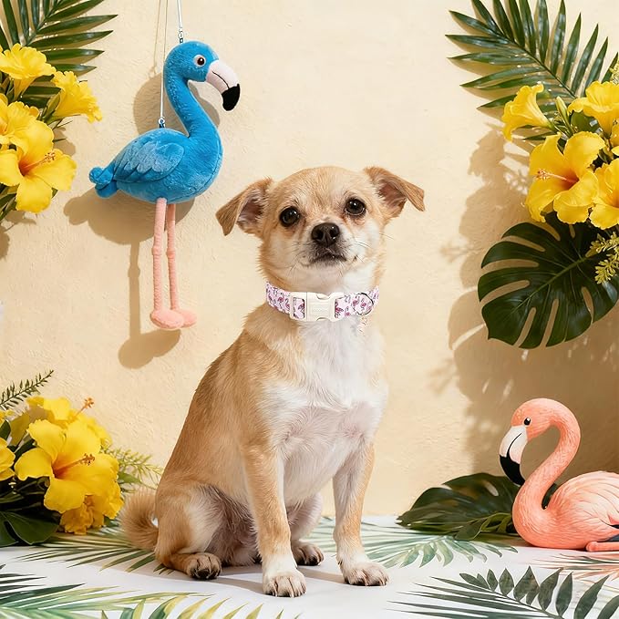 DOGWONG Cute Pet Dog Collar Pink Flamingos Cotton Dog Collar- Soft Girl Puppy Adjustable Pet Collars for Small Medium Large Dogs,XS