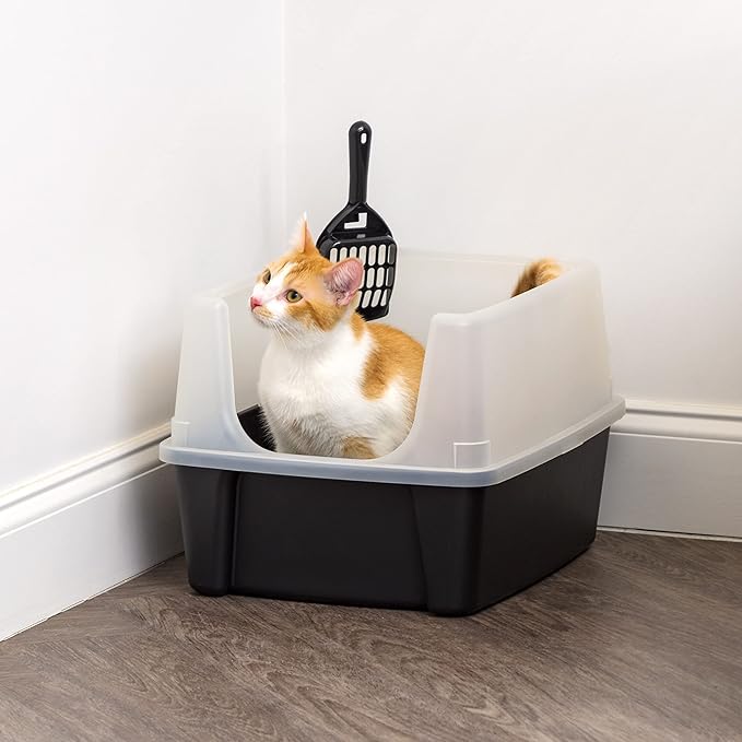 IRIS USA Large Open Top Cat Litter Box with High Sided Walls Tall Scatter Shield Scoop Included Easy Clean Plastic Pan Stain Resistant for Big Cats Kittens Indoor Multi-Cat Households