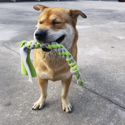 Dewonch Dog Fleece Rope Teaser Toy as Replacement to Chase and Tug (B-2PCS)