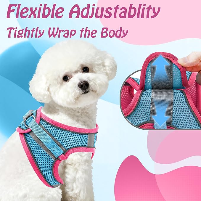 AIITLE Comfortable Dog Harness and Leash Set for Walking - Step in Vest Harness,Reflective Bands, Adjustable No Pull Puppy Essentials, for Small Dogs and House Cats Hot Pink XS